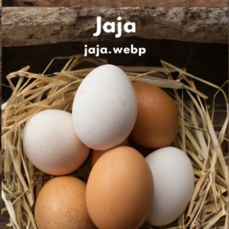 Domaća jaja iz slobodnog uzgoja