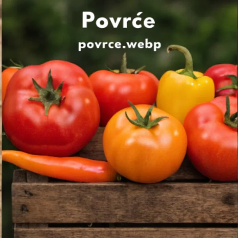 Domaći paradajz i paprika